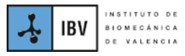 IBV logo